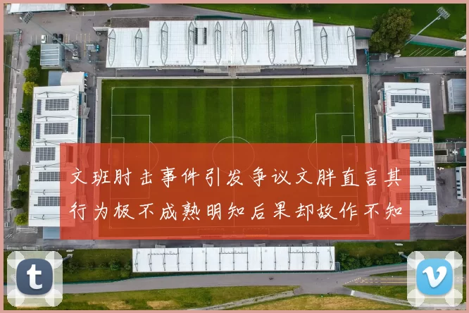 文班肘击事件引发争议文胖直言其行为极不成熟明知后果却故作不知